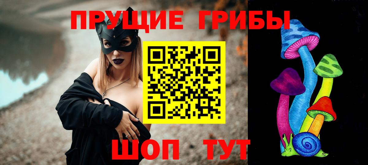 Карачаевск  Псилоцибиновые грибы Psilocybe  наркошоп  Вход с VPN 