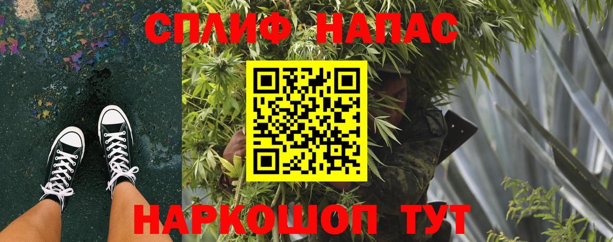 Канабис марихуана  Вход с VPN  Карачаевск  Марихуана White Widow 